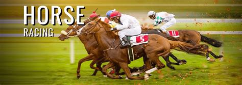 asian bookie horse racing forum|asian bookies.